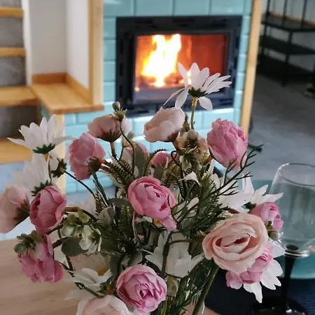 Dwie Damy Na Gwizdowce 8 別荘