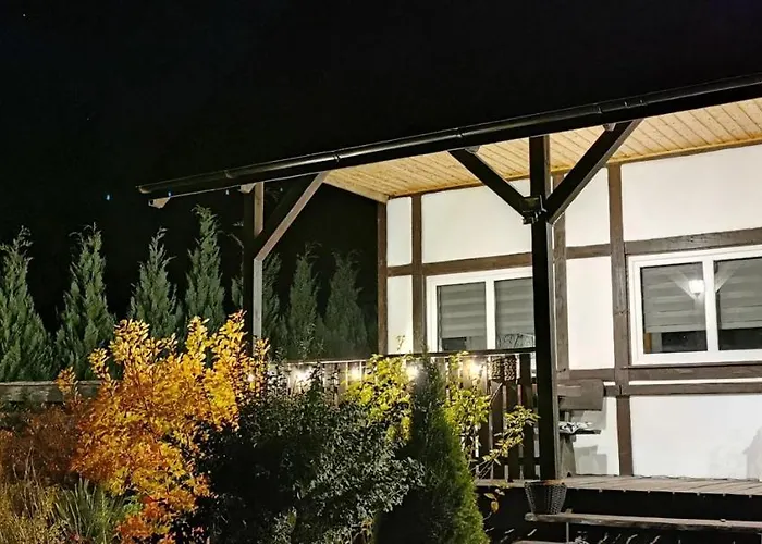 Dwie Damy Na Gwizdowce 8